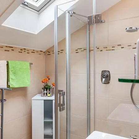 Aurikel Garmisch-Partenkirchen